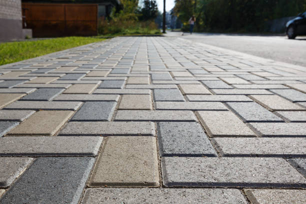 Best Local Driveway Pavers  in Forest Meadows, CA