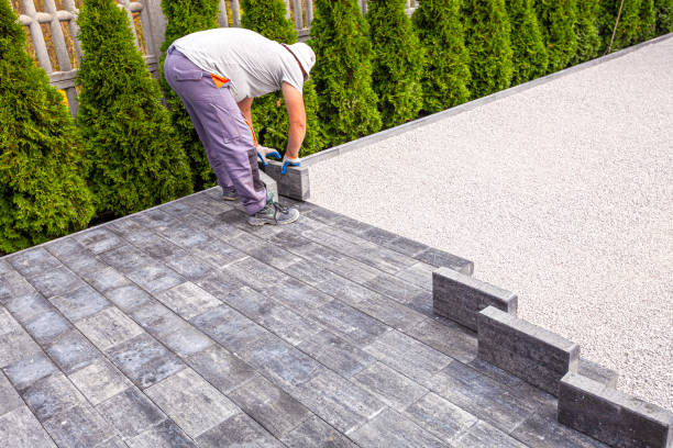 Best Decorative Driveway Pavers  in Forest Meadows, CA