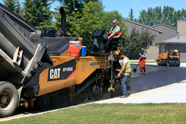Best Driveway Paving Contractor  in Forest Meadows, CA