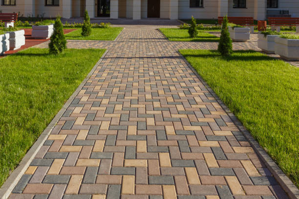 Best Driveway Pavers Near Me  in Forest Meadows, CA